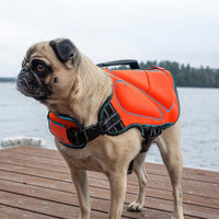 Silver Paw Neoprene Dog Life Jacket/Vest, Orange Size L