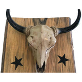Animal Skull Resin Wall Decoration